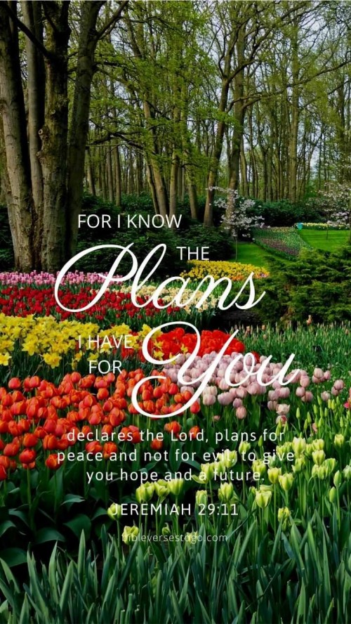 Flower Garden With Bible Verse 3031471 Hd Wallpaper And Backgrounds