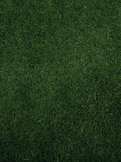 Artificial Turf (#3042717) - HD Wallpaper & Backgrounds Download