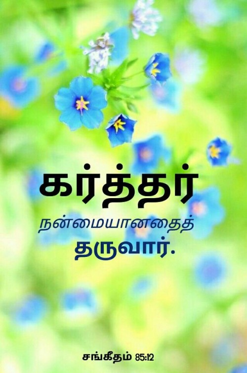 Bible 10 Commandments In Tamil (#834937) - HD Wallpaper & Backgrounds ...