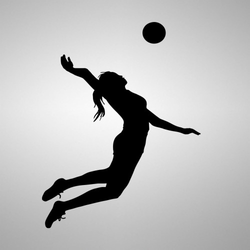 Silhouette Of Playing Volleyball (#3062777) - HD Wallpaper ...