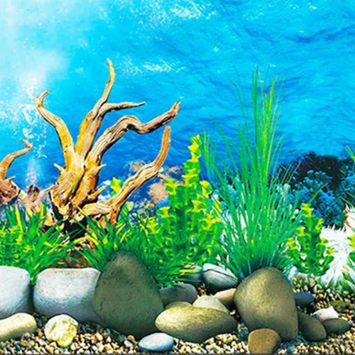 Fish Tank Background Paper (#3098246) - HD Wallpaper & Backgrounds Download