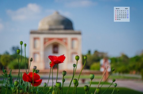 Wallpaper Dealer In Delhi - Child Landscape (#151437) - HD Wallpaper