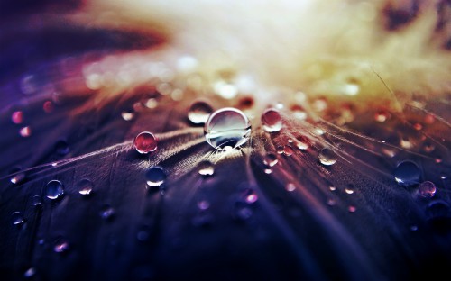 High Resolution Water Drop Background (#3108879) - HD Wallpaper ...