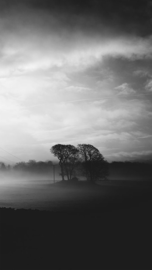 Wallpaper Fog Dusk Landscape Bw Gloomy Gloomy Landscape Hd Wallpaper Backgrounds Download