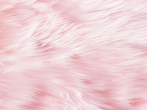 Hd Wallpaper - Pink Furry Background (#3184308) - HD Wallpaper ...