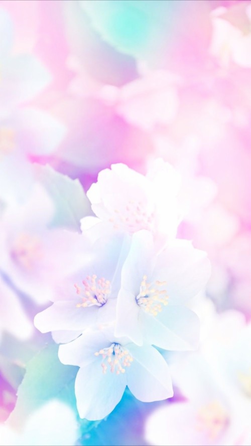 Featured image of post Pastel Purple Flower Iphone Wallpaper / And make sure to follow preppy on pinterest, facebook, and instagram to never miss out on any new iphone wallpapers!