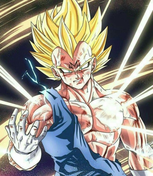 Download Vegeta Super Saiyan Blue Evolution On Itl.cat