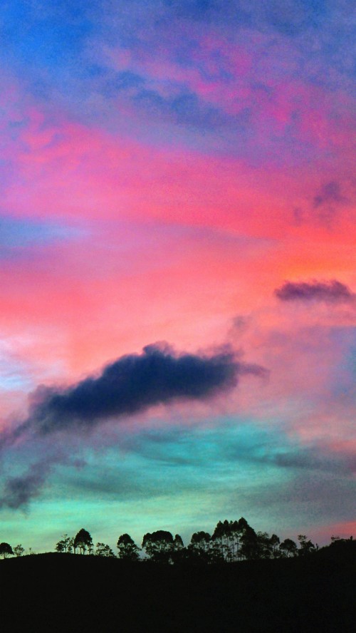 Wallpaper Sunset, Sky, Trees, Colorful - Sunset Sky Wallpaper Iphone ...