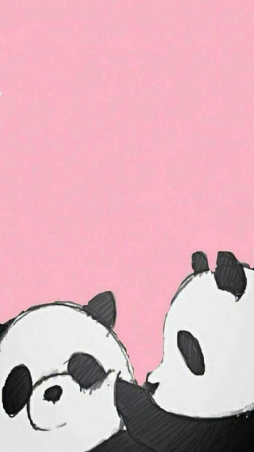 Cute Panda Wallpaper Panda Wallpaper Iphone Panda Iphone Panda