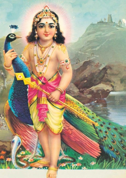 murugan hd wallpapers lord murugan baby 322370 hd wallpaper backgrounds download