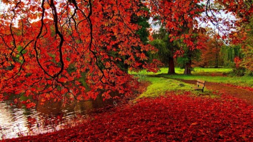 Fall Wallpaper Hd Photo - Full Hd Navratri Background (#323495) - HD ...