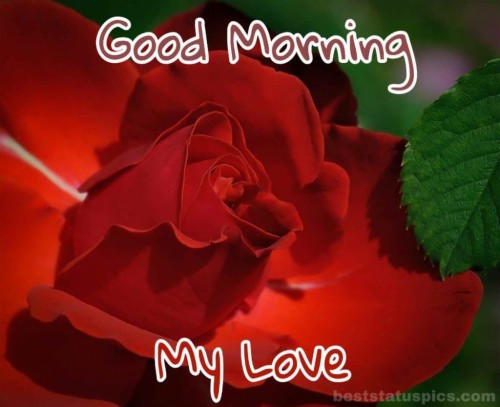Love Good Morning 3d (#2385035) - HD Wallpaper & Backgrounds Download