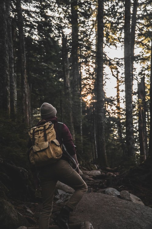 Person Hiking At The Forest, Human, Outdoors, Vegetation, - Forest ...