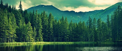 Forest Water And Mountains (#3235491) - HD Wallpaper & Backgrounds Download