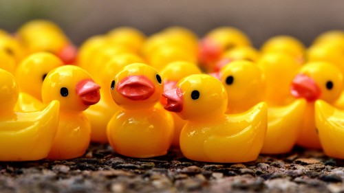 Rubber Ducks (#3271515) - HD Wallpaper & Backgrounds Download