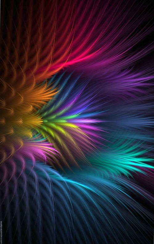 Abstract Feather Wallpapers Feather Flower Abstract - Abstract Mobile