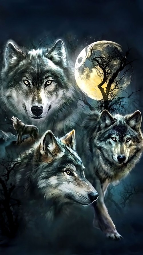 Featured image of post Iphone Wallpaper Galaxy Wolf Hintergrundbilder We have collected 3380 iphone wallpapers all wallpapers are available for free download