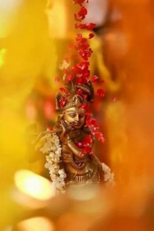Featured image of post Photography Vitthal Rukmini Images Hd Wallpapers / Use wallpapers on your phone, desktop background, website and more.