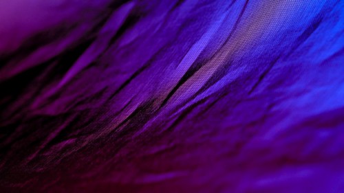 List Of Free Purple Hd Wallpapers Download Itl Cat