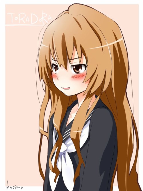 307 Best Toradora Images On Pinterest Toradora Wallpaper - Kawaii Taiga ...