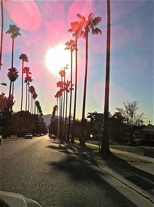 Allofpicts California Wallpaper Hollywood Wallpaper Iphone X Hd Wallpaper Backgrounds Download