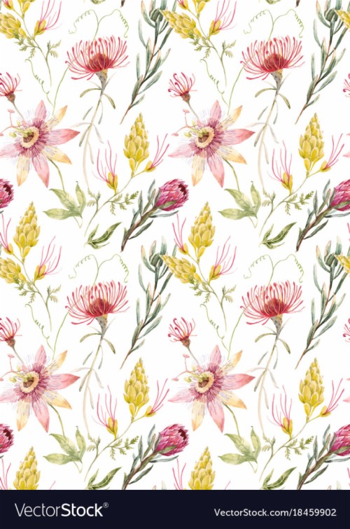 Watercolor Floral Pattern Vector Image - Watercolour Australian Native
