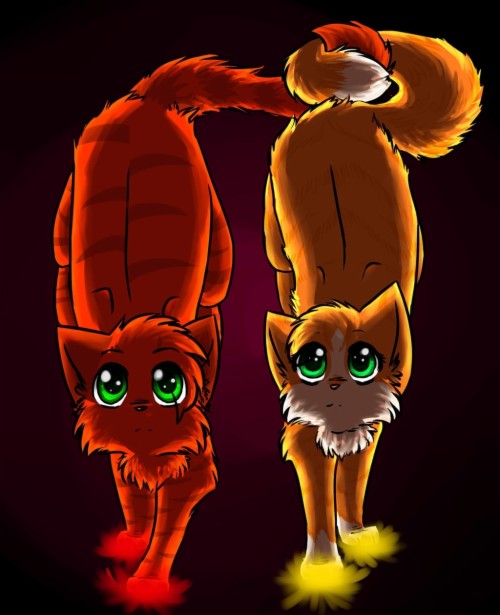 Cool Warrior Cats Wallpaper Firestar And Sandstorm Warrior Cat