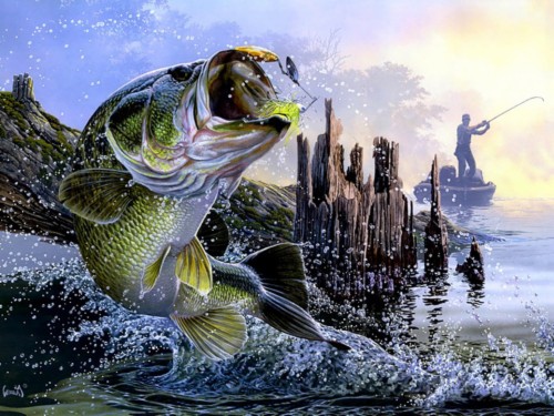 Bass Fish Wallpaper Hd - Bass Fishing Backgrounds (#1534925) - HD