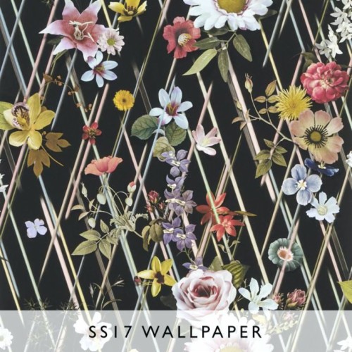 Christian Lacroix Wallpaper Wallpaper Christian Christian - Wallpaper