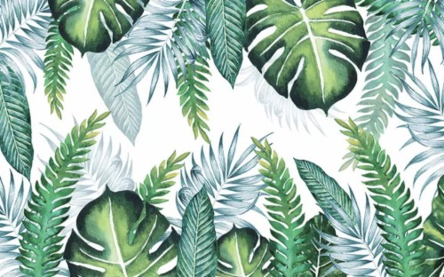 Murwall Leaf Wallpaper Tropical Leaves Wall Murals - Tropical Leaves