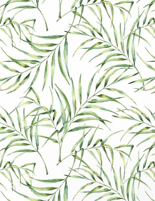 Palm Leaf Wallpaper Palm Tree Wallpaper Palm Tree Leaves - Hojas De