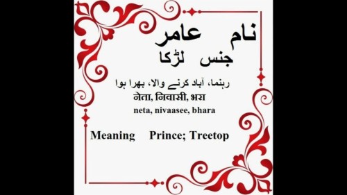 Amir Name Meaning In Urdu Amir Arabic Name Meaning Rimsha Meaning In Urdu 495449 Hd Wallpaper Backgrounds Download