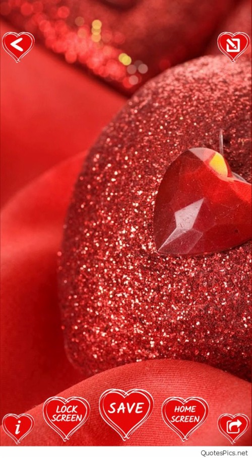 Wallpaper Vivo Y53 Lucu