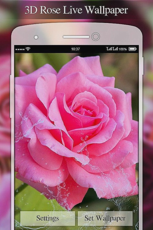 Live Wallpaper Editor - Pink Rose Stickers (#59644) - HD Wallpaper ...