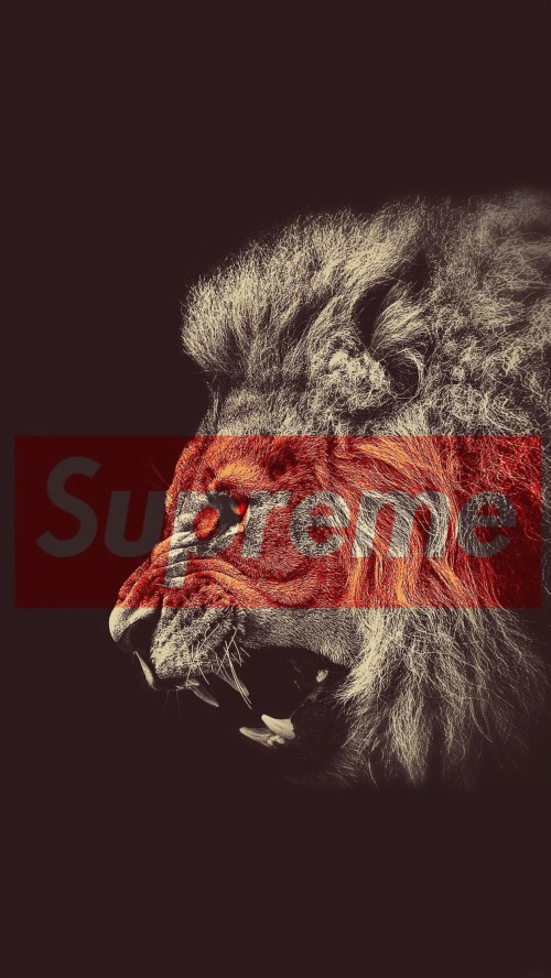 10 Joker Wallpaper For Vivo Lion Wallpaper Iphone Xs Max Hd Wallpaper Backgrounds Download