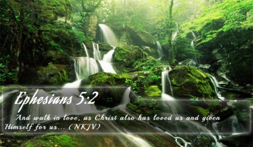 Bible Verse I Am Like A Green Olive Tree (#3275068) - HD Wallpaper ...