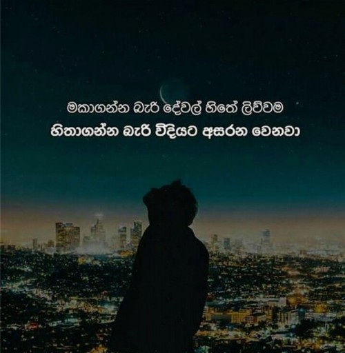 Featured image of post Love Sinhala Status For Whatsapp - So, romantic whatsapp status are the status which one put on whatsapp to make their loved one feel special.