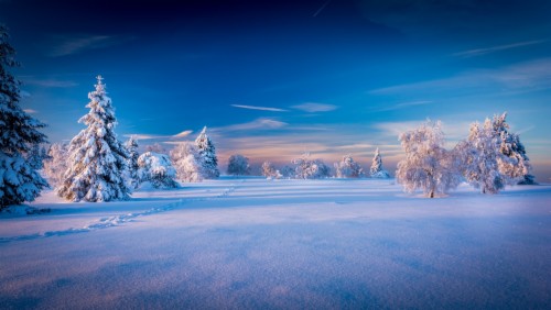 Winter Wallpaper For Android - Winter Wallpaper Pc Hd No Snow (#138370 ...