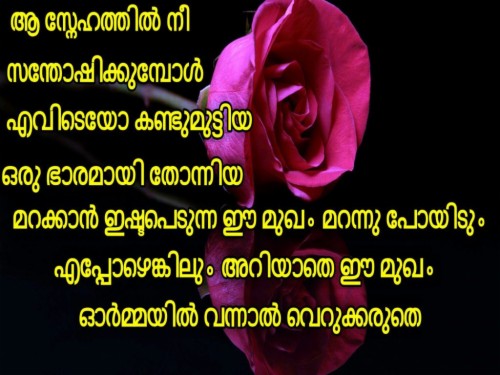 Good Morning Quotes In Malayalam For Husband The Wig Romantic