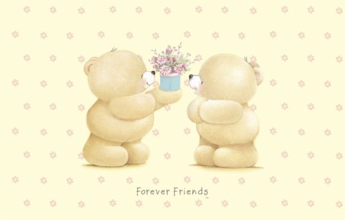 forever teddy bear flowers