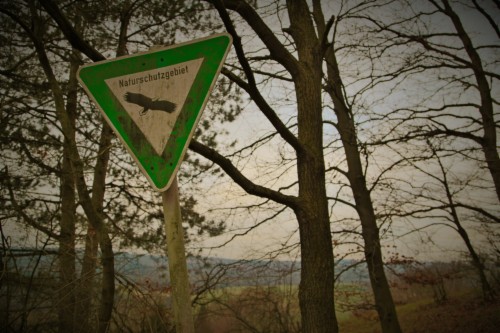 Conservation (#576688) - HD Wallpaper & Backgrounds Download