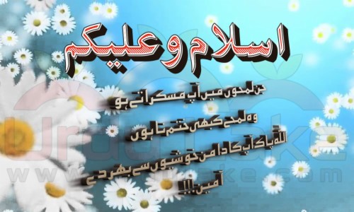 list of free walaikum assalam in urdu wallpapers download itl cat walaikum assalam in urdu wallpapers