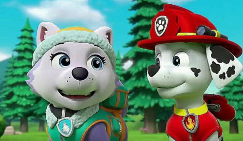 paw patrol does marshall like everest
