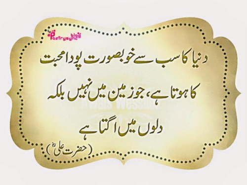 walikum salam wallpaper islamic dua quotes in urdu 665249 hd wallpaper backgrounds download walikum salam wallpaper islamic dua