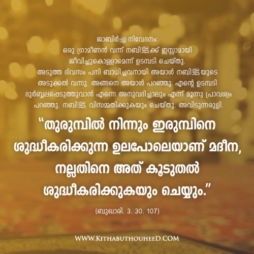 Malayalam Muslim Love Quotes - Life Islamic Quotes Malayalam (#707528) - Hd Wallpaper & Backgrounds Download