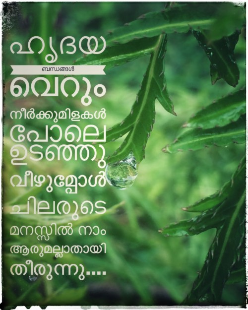 50229216 Malayalam Quote Sad Quotes Malayalam 707543 Hd