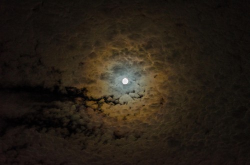 Bulan, Awan, Langit, Malam - Bulan Purnama Februari 2019 (#745651) - HD