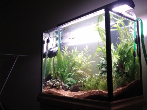 Get Free High Quality Hd Wallpapers Lampu Led Aquascape