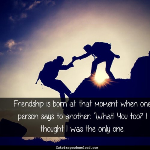 120 Friendship Quotes Wallpapers Free Download Hd, (#771458) - HD ...