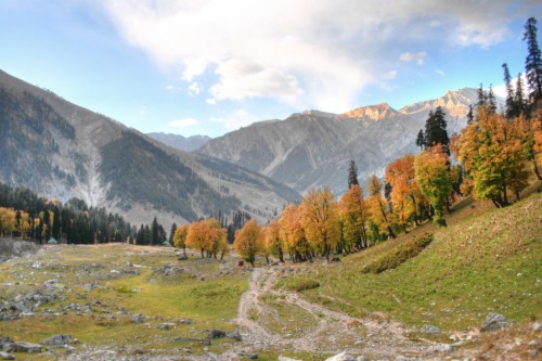 Kashmir Valley - Beauty Of Kashmir Valley (#797362) - HD Wallpaper ...